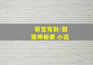 萌宝驾到:甜宠神秘妻 小说